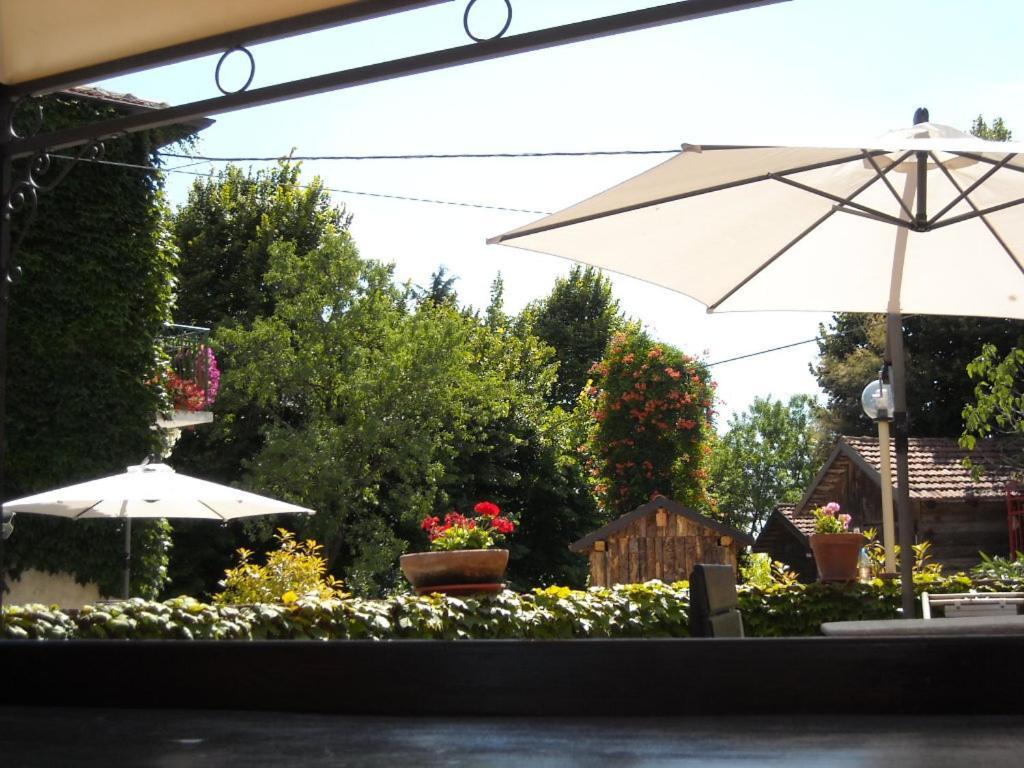Grazzano Badoglio Albergotto Natalina المظهر الخارجي الصورة